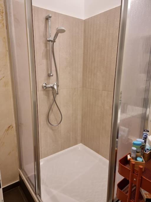 Sissi Royal Suite - Inner City 4 Bedroom Apartment Wien Ngoại thất bức ảnh